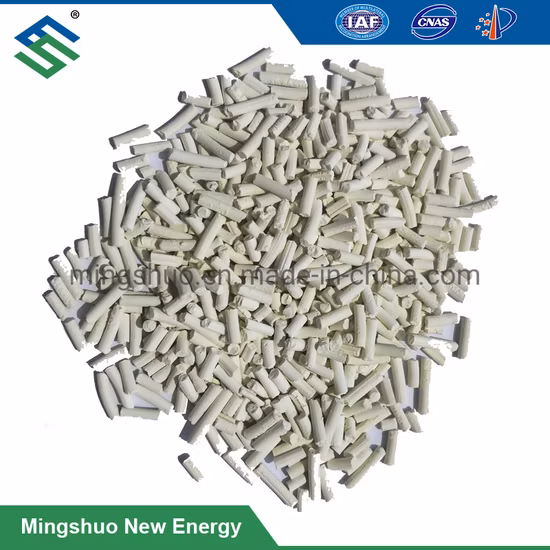 습식+건식 바이오가스